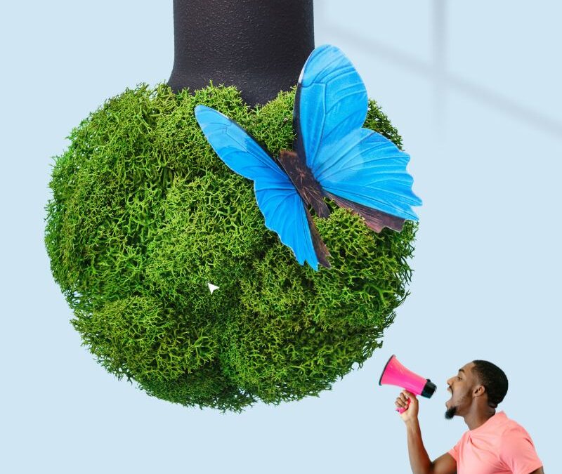 Embracing Green Horizons: How Kenyan Brands are Redefining Sustainability in Marketing